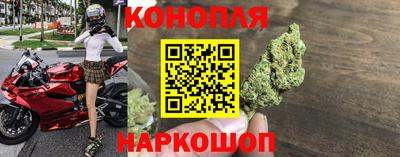 сатива Жуковский