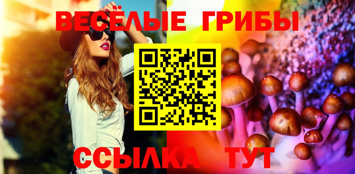 Галлюциногенные грибы мицелий  Вход с VPN  Ливны 